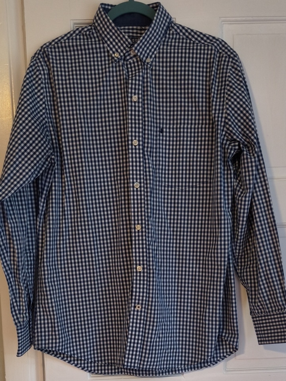 Men's Izod Blue and White Gingham Button-Down Shirt